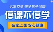 关于调整“停课不停学”网络教学工作的通知